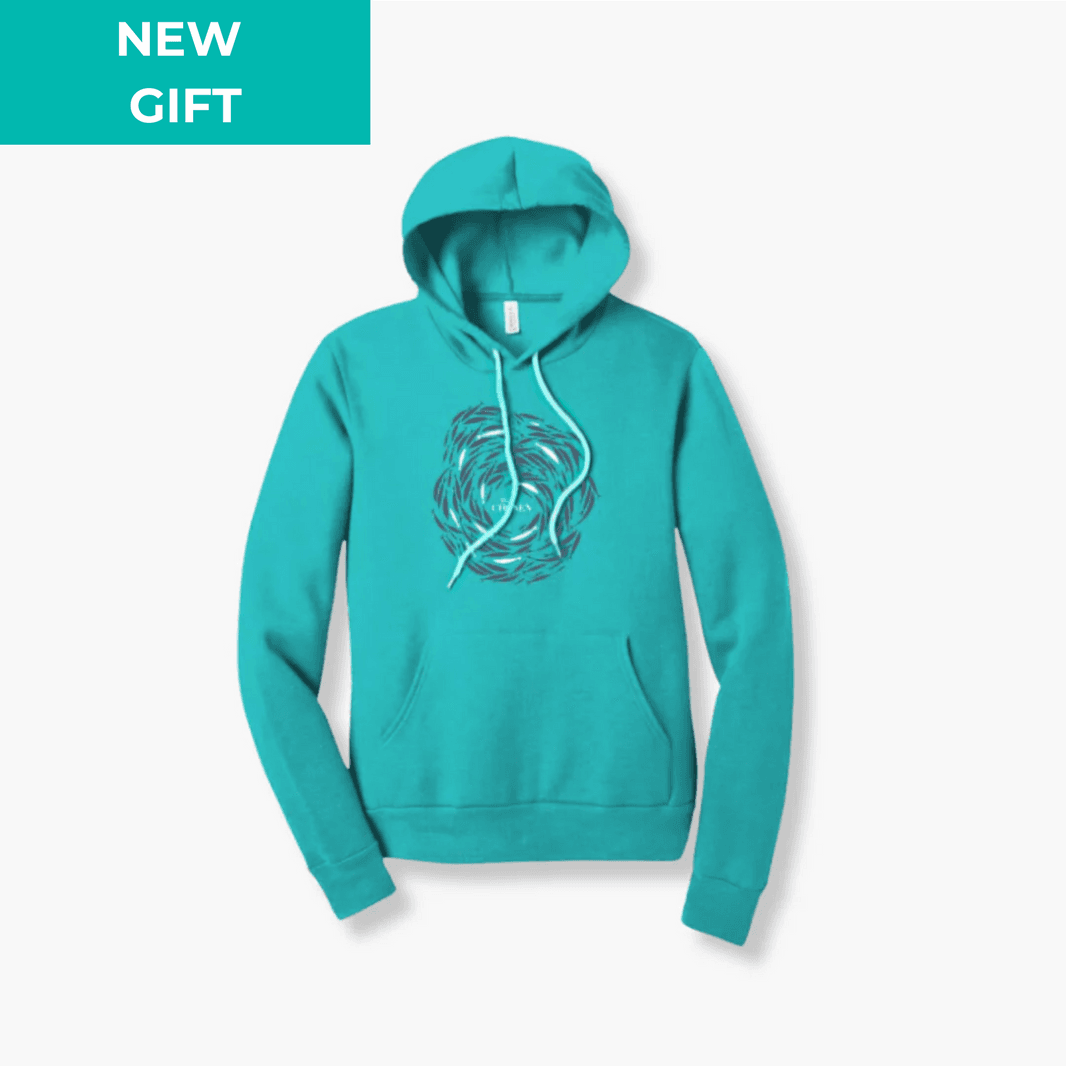 2+5=5000 P.O.H TEAL Hoodie SM