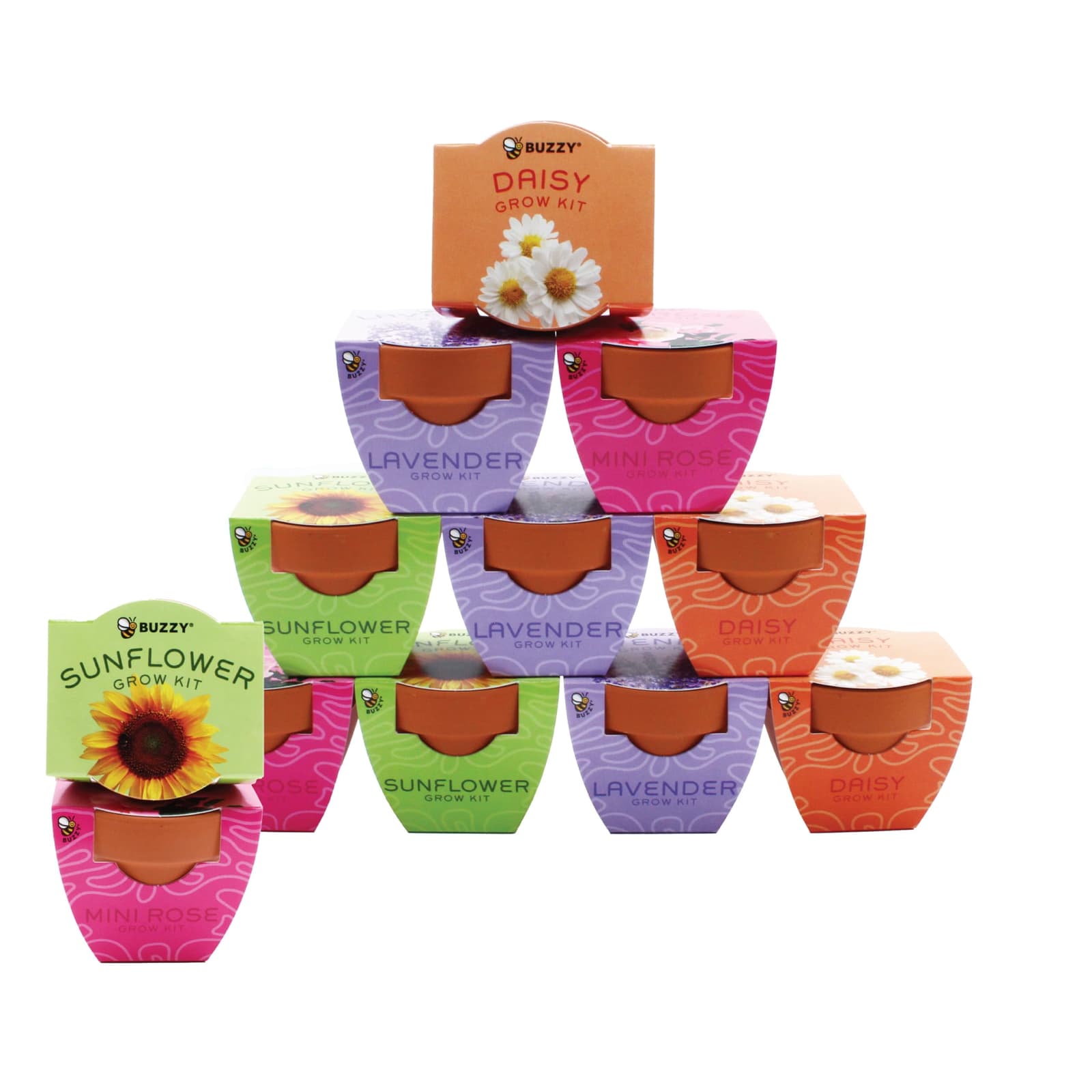 BUZZY Seeds Terracotta Mini Grow Pots | Herb, Plant, Flower Starter Kit for Kids