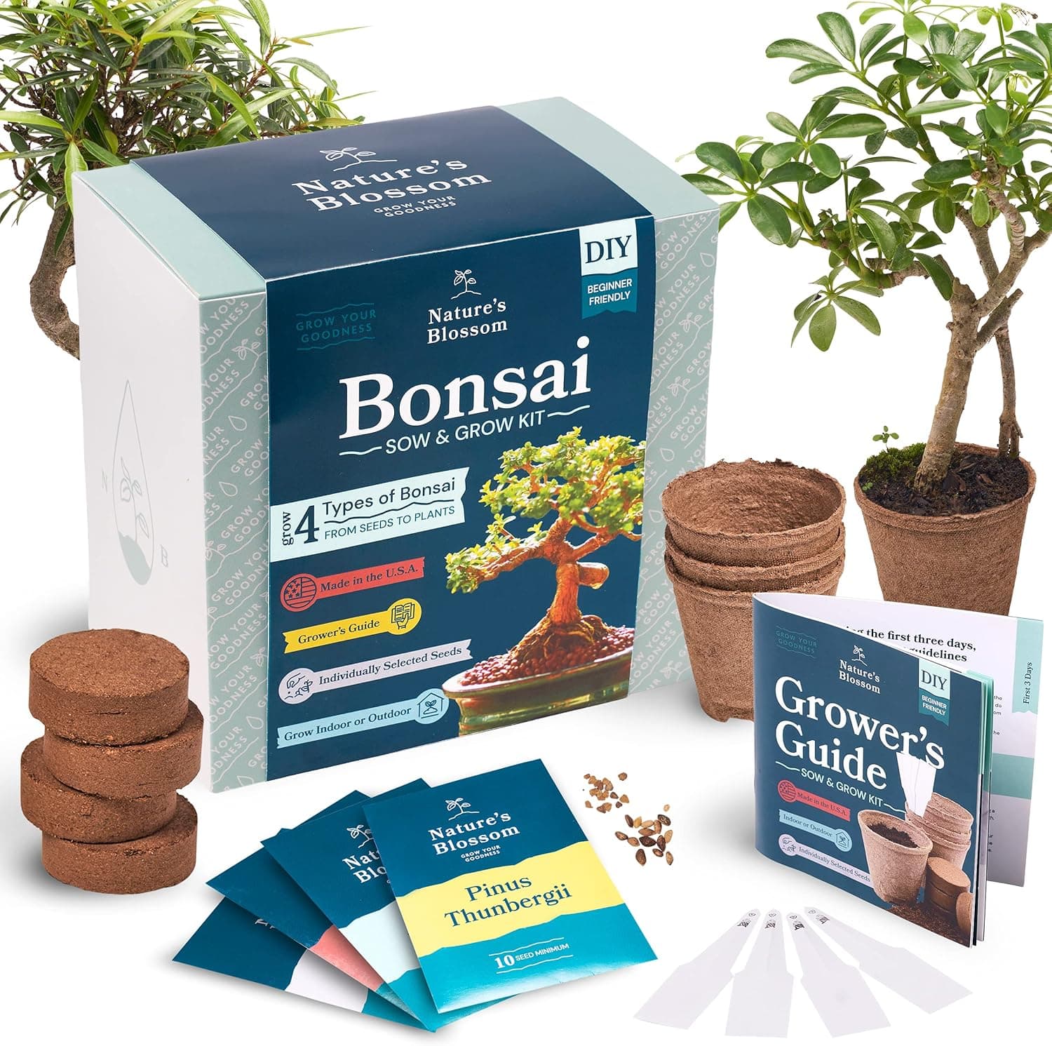Nature's Blossom Bonsai Garden Seed Starter Kit - 4 Types of Bonsai READ DESC