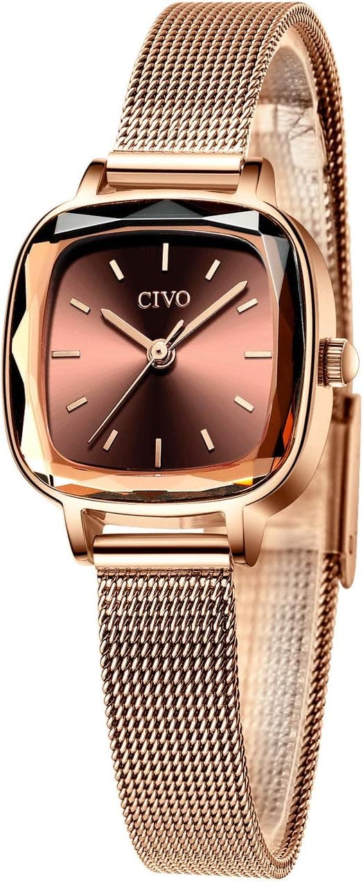 Simple Women's Watches Rose Gold Stainless Steel Mesh Band Waterproof 50M DW801